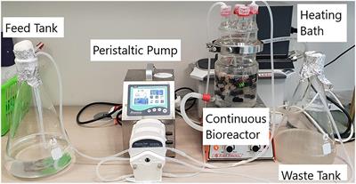 A New Acinetobacter Isolate Is an Extremely Efficient Biofilm-Formative Denitrifying Bacterium